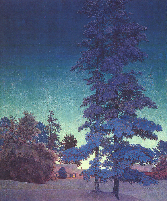 Winter Night Landscape