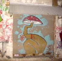 israel2003shroom_lipmanx.jpg