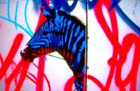 04_brighton_urbanzebra.jpg