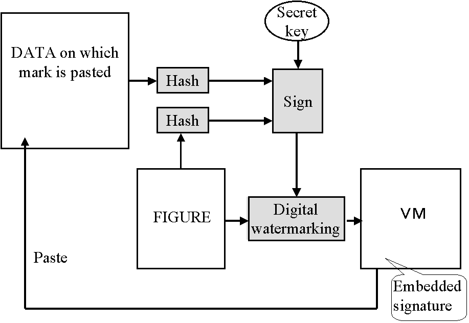 VMs issuing system